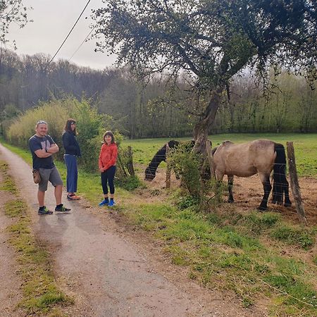 Ferme Equestre & Chambres D'Hotes Gateau Stables Proche Guedelon Saint-Amand-en-Puisaye Екстериор снимка