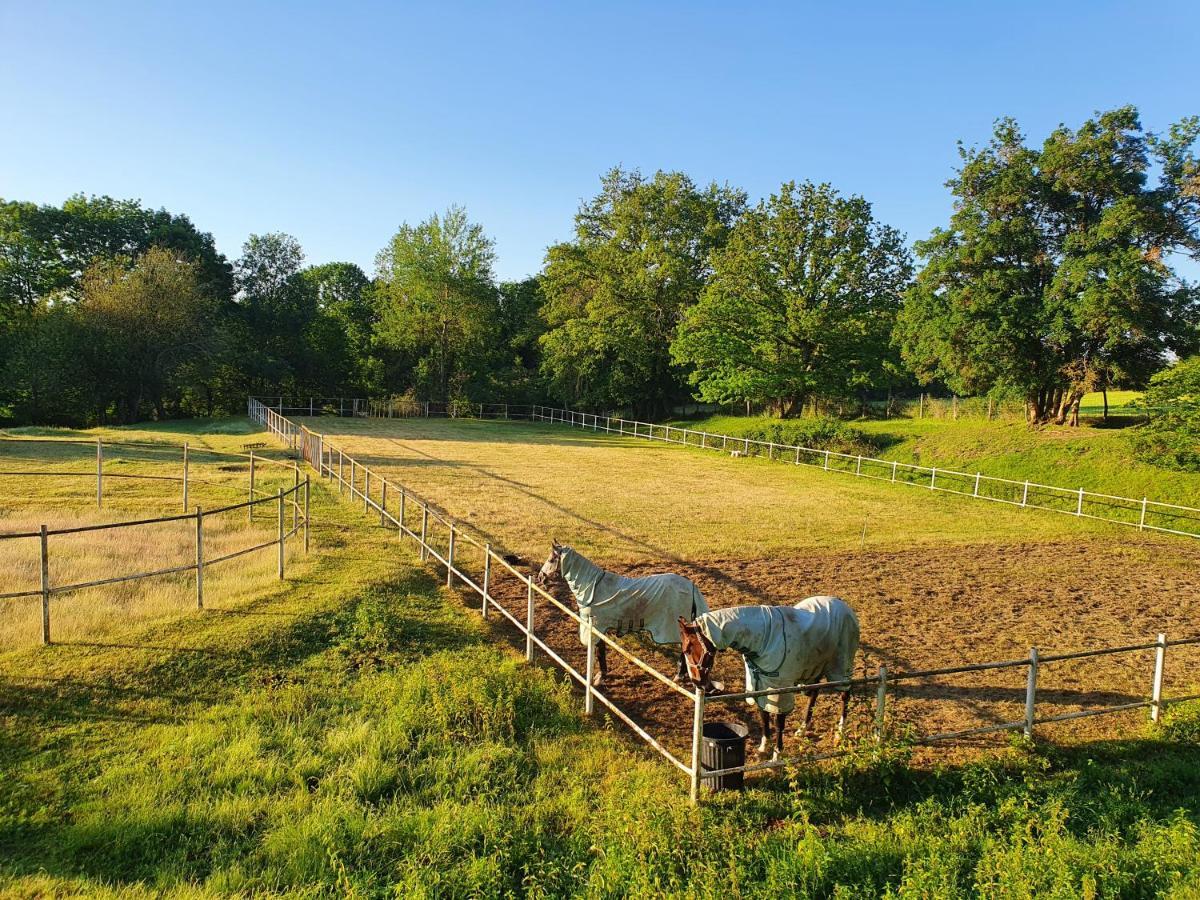Ferme Equestre & Chambres D'Hotes Gateau Stables Proche Guedelon Saint-Amand-en-Puisaye Екстериор снимка