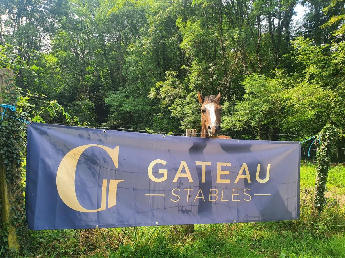 Ferme Equestre & Chambres D'Hotes Gateau Stables Proche Guedelon Saint-Amand-en-Puisaye Екстериор снимка