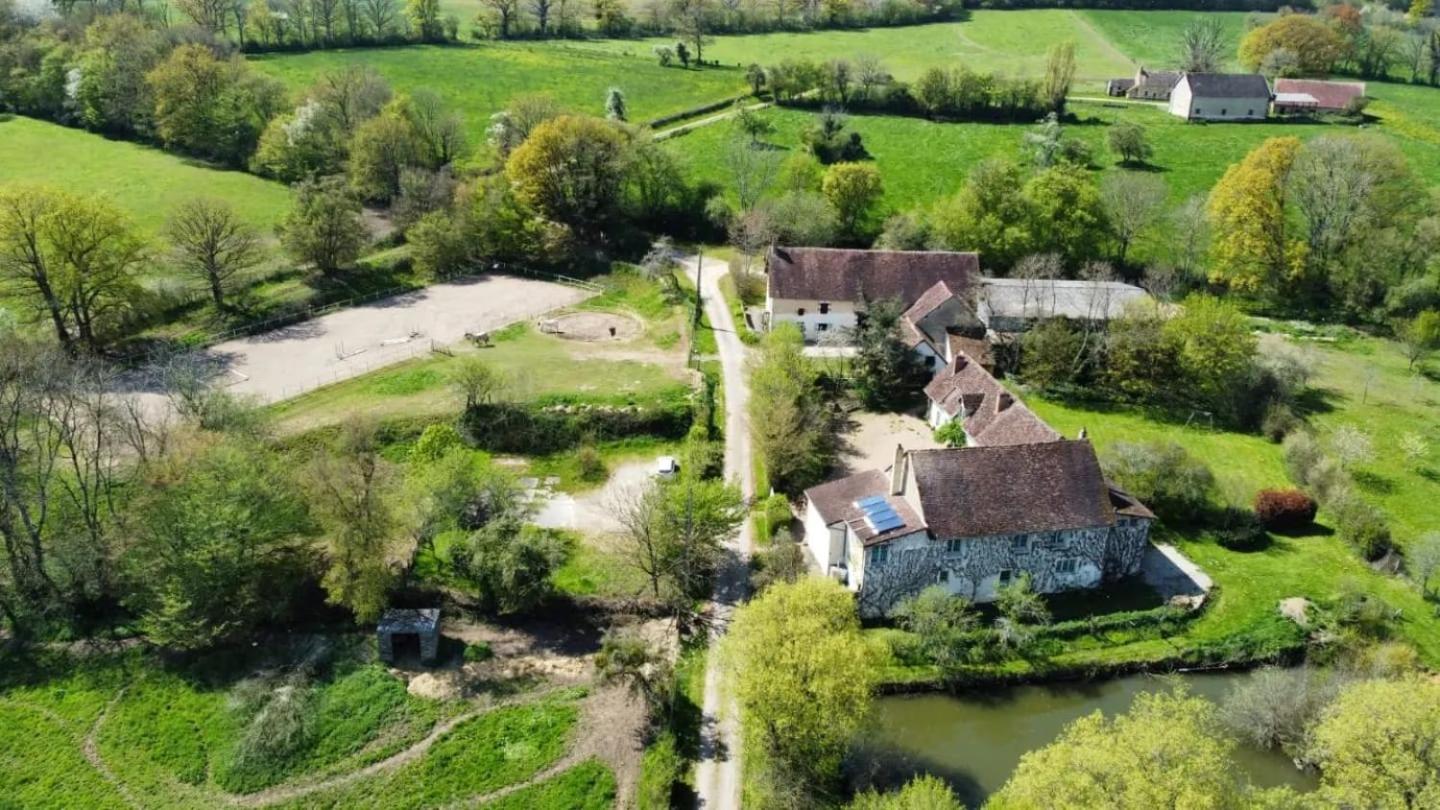 Ferme Equestre & Chambres D'Hotes Gateau Stables Proche Guedelon Saint-Amand-en-Puisaye Екстериор снимка
