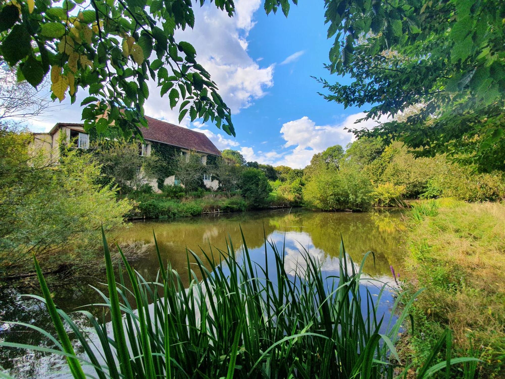 Ferme Equestre & Chambres D'Hotes Gateau Stables Proche Guedelon Saint-Amand-en-Puisaye Екстериор снимка