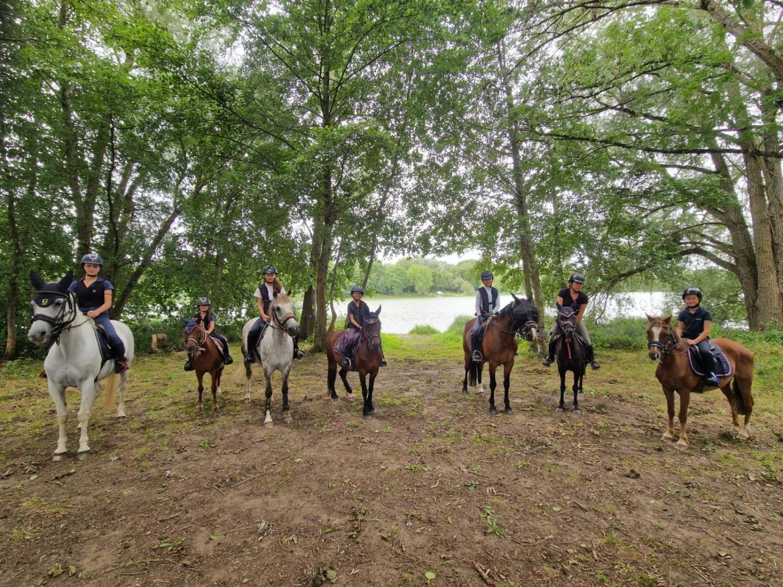 Ferme Equestre & Chambres D'Hotes Gateau Stables Proche Guedelon Saint-Amand-en-Puisaye Екстериор снимка