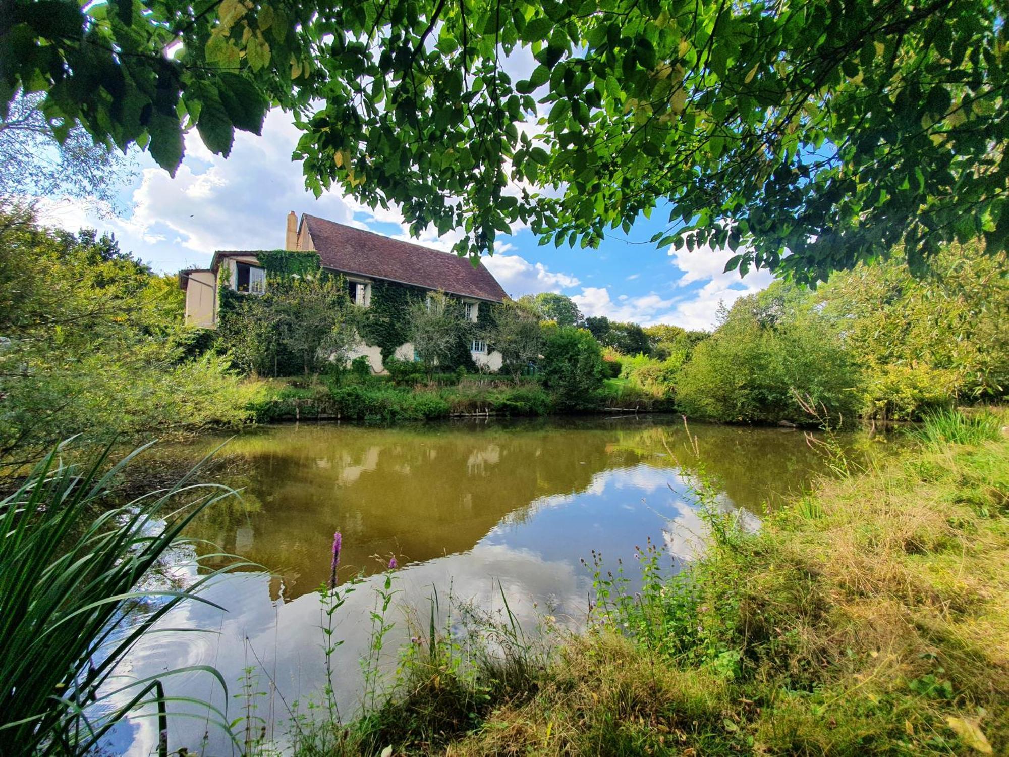 Ferme Equestre & Chambres D'Hotes Gateau Stables Proche Guedelon Saint-Amand-en-Puisaye Екстериор снимка