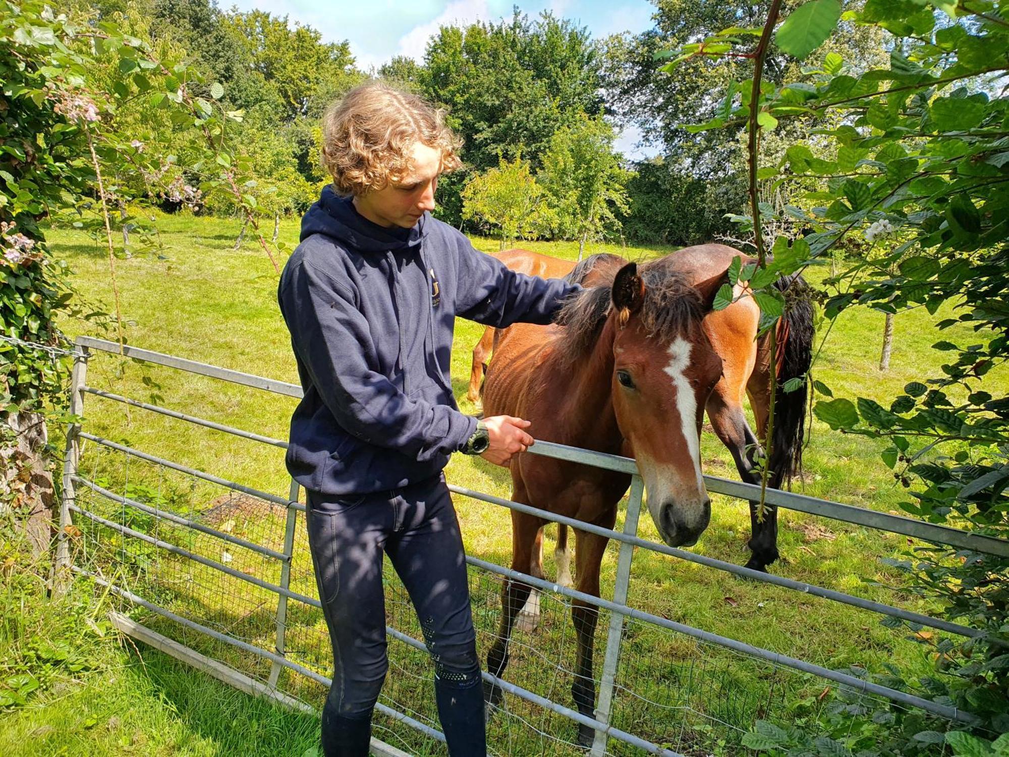 Ferme Equestre & Chambres D'Hotes Gateau Stables Proche Guedelon Saint-Amand-en-Puisaye Екстериор снимка