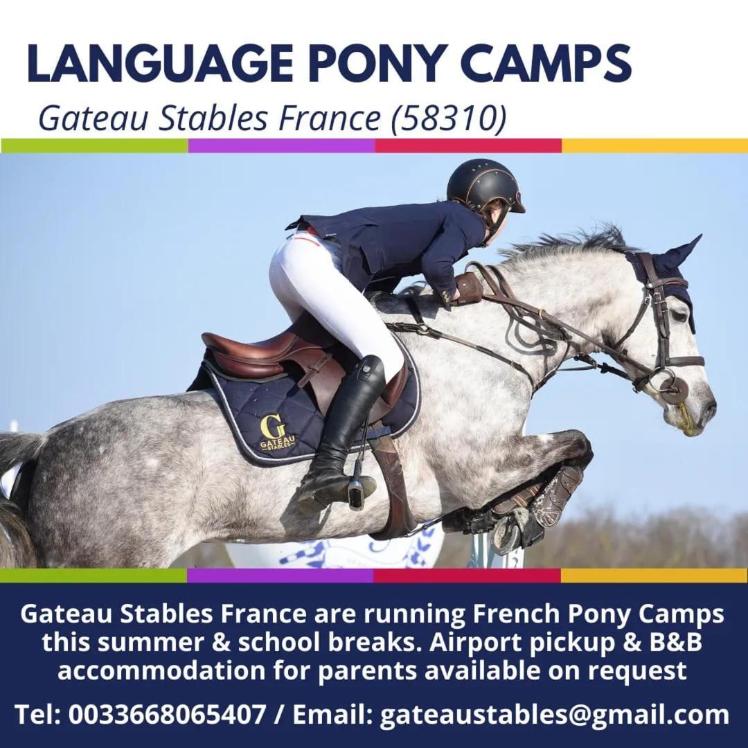 Ferme Equestre & Chambres D'Hotes Gateau Stables Proche Guedelon Saint-Amand-en-Puisaye Екстериор снимка